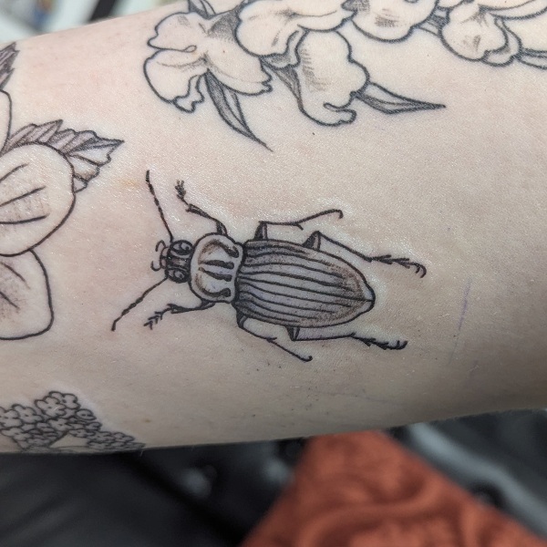 beetle-insect-tattoo-blackwork