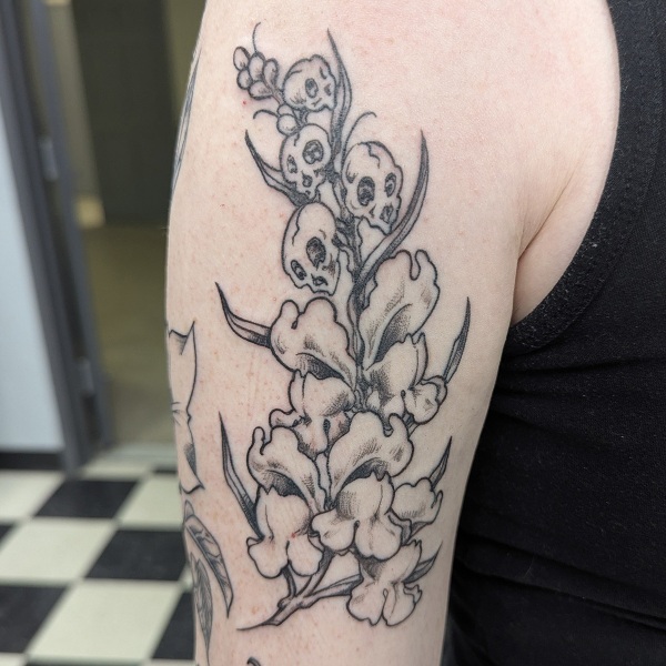 healed-snap-dragon-blackwork-tattoo