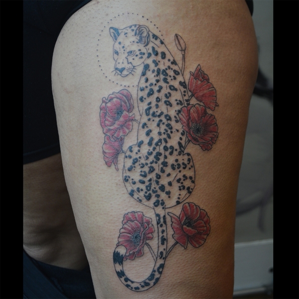 leopard-poppies-1-sm