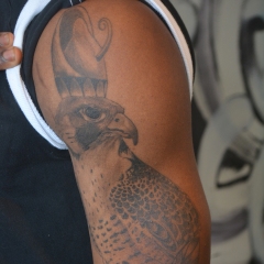 Egyptian Falcon Tattoo