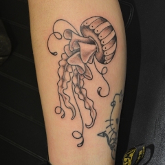 Traditinal Jellyfish tattoo from flash
