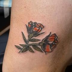 poppy-flowers-tattoo