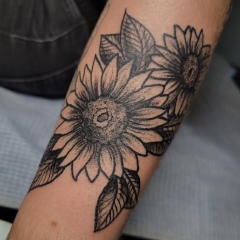 Two blackwork traditional sunflower tattoos