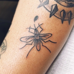 traditional-bug-tattoo