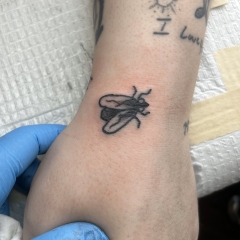 traditional-fly-tattoo