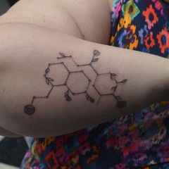 Dopeamine and Seratonin Molecule Tattoo