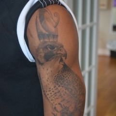 Healed Falcon Tattoo