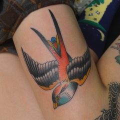 Traditional Swallow Tattoo