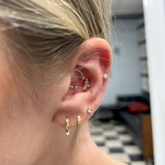 Various Lobe and Cartilage Piercings on the Ear