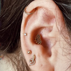 Conch and various other cartilage and lobe piercings