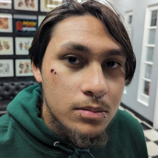 Snake Bites, septum, double dermal