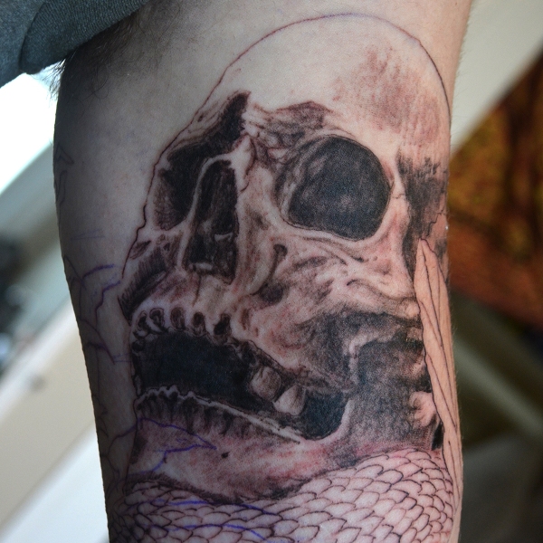 Skull Realistic Skull Tattoo