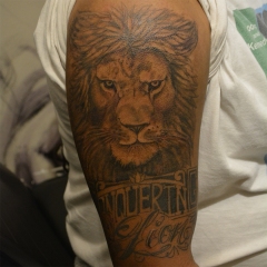 Lion Tattoo