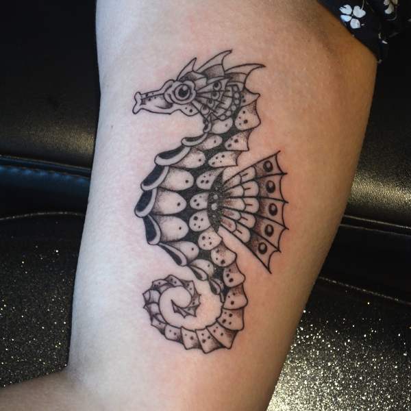 1_traditional-seahorse