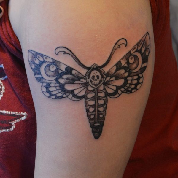 deathshead-moth-sm-scaled