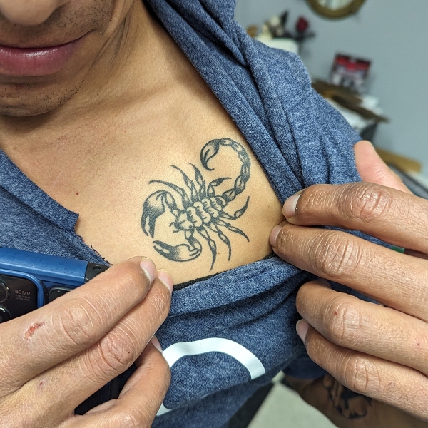 Small Healed Scorpion