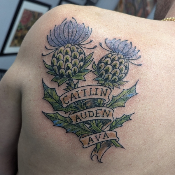 thistle-flowers-with-names