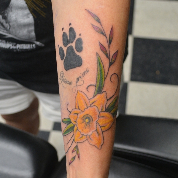 Traditional Daffodil with Leaves
