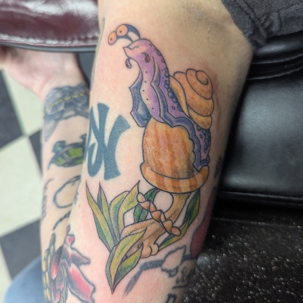 traditional-purple-snail-sm