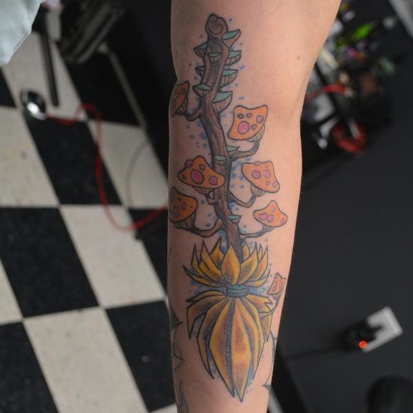 Witch's Broom Tattoo with Mushrooms