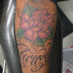 Aurora Pink Traditional Rose Tattoo