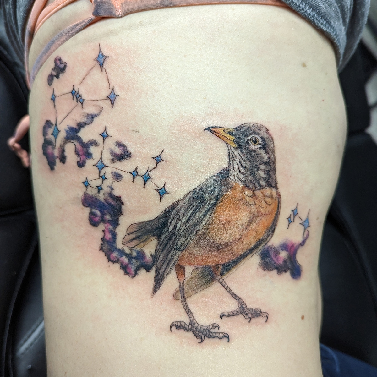 healed] Chunky little robin. Done by the amazing Amélie @ cult of the bear  studio, Oxford, UK. : r/tattoos