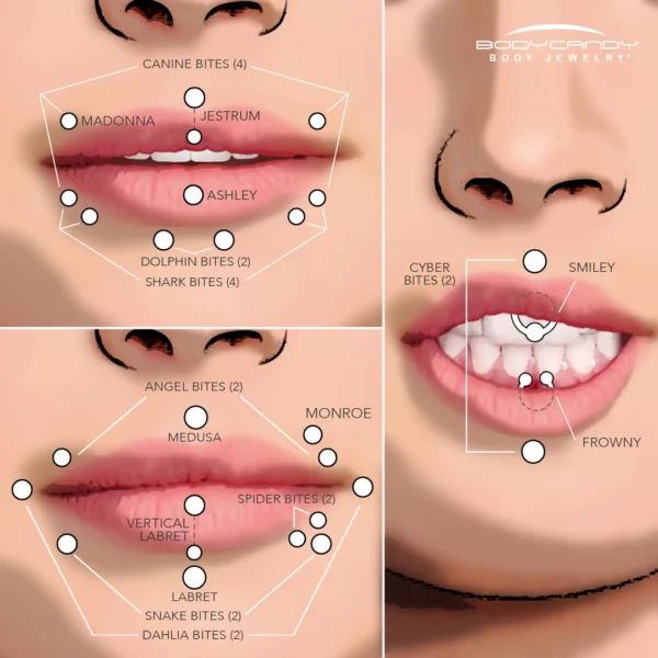 Mouth piercings diagram